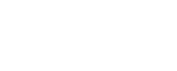 Brose company logo